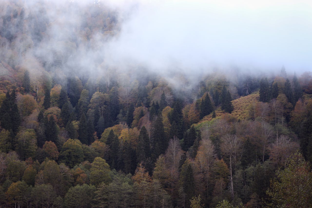 Tajemné zmizení v Jizerských horách: Neobjasněné případy (dodnes nevyřešené události)